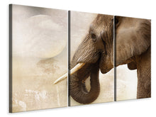 Laden Sie das Bild in den Galerie-Viewer, Leinwandbild 3-teilig Portrait eines Elefant