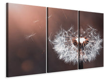 Laden Sie das Bild in den Galerie-Viewer, Leinwandbild 3-teilig Pusteblume im Abendlicht