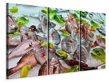 Laden Sie das Bild in den Galerie-Viewer, Leinwandbild 3-teilig Rohe Fische