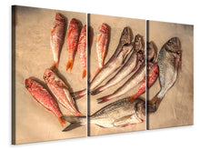 Laden Sie das Bild in den Galerie-Viewer, Leinwandbild 3-teilig Roher Fisch