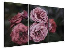 Laden Sie das Bild in den Galerie-Viewer, Leinwandbild 3-teilig Romantische Rosen
