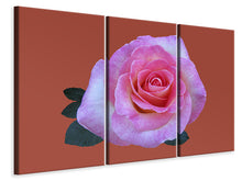 Laden Sie das Bild in den Galerie-Viewer, Leinwandbild 3-teilig Rose in pink XXL