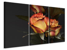 Laden Sie das Bild in den Galerie-Viewer, Leinwandbild 3-teilig Rosen der Romantik