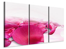 Laden Sie das Bild in den Galerie-Viewer, Leinwandbild 3-teilig Rosenblätter in pink