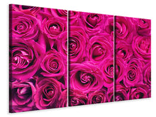 Laden Sie das Bild in den Galerie-Viewer, Leinwandbild 3-teilig Rosenblüten in pink