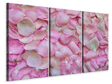 Laden Sie das Bild in den Galerie-Viewer, Leinwandbild 3-teilig Rosenblüten in rosa