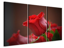 Laden Sie das Bild in den Galerie-Viewer, Leinwandbild 3-teilig Rote Rose in XL