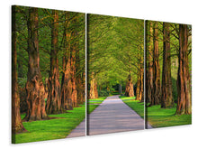 Laden Sie das Bild in den Galerie-Viewer, Leinwandbild 3-teilig Schöne Allee in der Natur