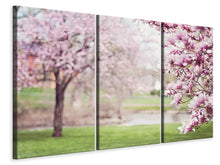 Laden Sie das Bild in den Galerie-Viewer, Leinwandbild 3-teilig Schöne Magnolien