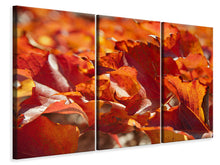 Laden Sie das Bild in den Galerie-Viewer, Leinwandbild 3-teilig Schönes Herbstlaub
