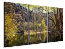 Laden Sie das Bild in den Galerie-Viewer, Leinwandbild 3-teilig See im Wald
