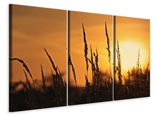 Laden Sie das Bild in den Galerie-Viewer, Leinwandbild 3-teilig Sonnenaufgang auf dem Feld
