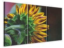 Laden Sie das Bild in den Galerie-Viewer, Leinwandbild 3-teilig Sonnenblume Close up