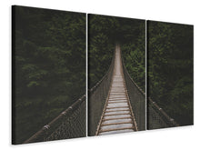 Laden Sie das Bild in den Galerie-Viewer, Leinwandbild 3-teilig Spannende Brücke