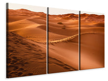 Laden Sie das Bild in den Galerie-Viewer, Leinwandbild 3-teilig Spuren in der Wüste