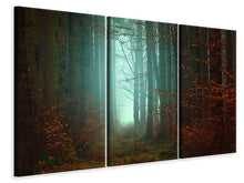 Laden Sie das Bild in den Galerie-Viewer, Leinwandbild 3-teilig Stimmung im Wald
