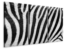 Laden Sie das Bild in den Galerie-Viewer, Leinwandbild 3-teilig Streifen vom Zebra