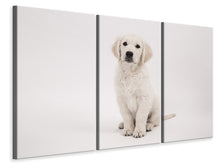 Laden Sie das Bild in den Galerie-Viewer, Leinwandbild 3-teilig Süsse Golden Retriever Welpe
