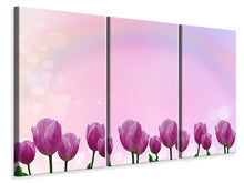 Laden Sie das Bild in den Galerie-Viewer, Leinwandbild 3-teilig Süsse Tulpen
