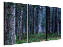 Laden Sie das Bild in den Galerie-Viewer, Leinwandbild 3-teilig Tannen Wald