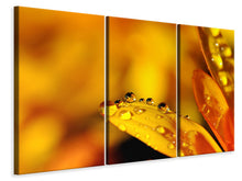Laden Sie das Bild in den Galerie-Viewer, Leinwandbild 3-teilig Tropfen Close up