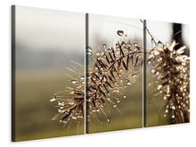 Laden Sie das Bild in den Galerie-Viewer, Leinwandbild 3-teilig Tropfen der Natur