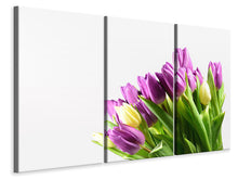 Laden Sie das Bild in den Galerie-Viewer, Leinwandbild 3-teilig Tulpen in XL