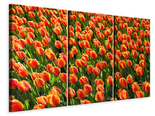 Laden Sie das Bild in den Galerie-Viewer, Leinwandbild 3-teilig Tulpenfeld in orange