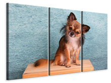 Laden Sie das Bild in den Galerie-Viewer, Leinwandbild 3-teilig Typisch Chihuahua