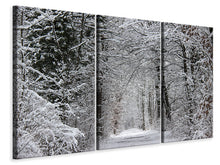 Laden Sie das Bild in den Galerie-Viewer, Leinwandbild 3-teilig Verzauberter Winterwald