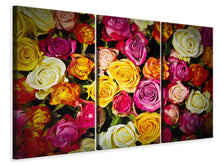 Laden Sie das Bild in den Galerie-Viewer, Leinwandbild 3-teilig Viele bunte Rosenblüten