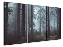Laden Sie das Bild in den Galerie-Viewer, Leinwandbild 3-teilig Wald im Nebel