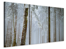 Laden Sie das Bild in den Galerie-Viewer, Leinwandbild 3-teilig Wald im Winter