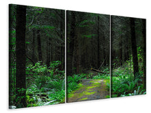 Laden Sie das Bild in den Galerie-Viewer, Leinwandbild 3-teilig Wilder Wald