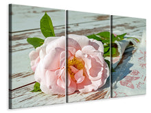 Laden Sie das Bild in den Galerie-Viewer, Leinwandbild 3-teilig Wildrose in rosa