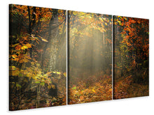 Laden Sie das Bild in den Galerie-Viewer, Leinwandbild 3-teilig Wir lieben Herbst