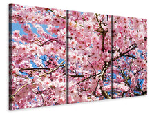 Laden Sie das Bild in den Galerie-Viewer, Leinwandbild 3-teilig Wundervolle Japanische Zierkirsche