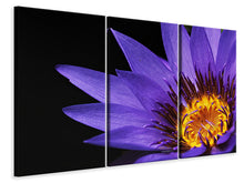 Laden Sie das Bild in den Galerie-Viewer, Leinwandbild 3-teilig XL Seerose in lila