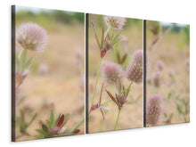 Laden Sie das Bild in den Galerie-Viewer, Leinwandbild 3-teilig Zarte Blumen