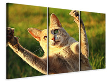 Laden Sie das Bild in den Galerie-Viewer, Leinwandbild 3-teilig Zeig die Krallen!