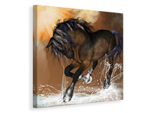 Laden Sie das Bild in den Galerie-Viewer, Leinwandbild Black Beauty