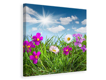 Laden Sie das Bild in den Galerie-Viewer, Leinwandbild Blumenwiese