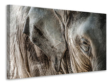 Laden Sie das Bild in den Galerie-Viewer, Leinwandbild Close Up Elefant