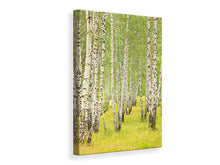 Laden Sie das Bild in den Galerie-Viewer, Leinwandbild Der Birkenwald im Spätsommer