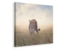 Laden Sie das Bild in den Galerie-Viewer, Leinwandbild Der Gepard