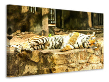 Laden Sie das Bild in den Galerie-Viewer, Leinwandbild Der Sibirische Tiger