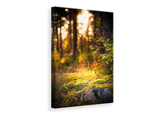 Laden Sie das Bild in den Galerie-Viewer, Leinwandbild Der Wald im Hintergrund