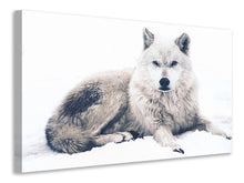 Laden Sie das Bild in den Galerie-Viewer, Leinwandbild Der Wolf