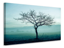 Laden Sie das Bild in den Galerie-Viewer, Leinwandbild Der Zauberbaum