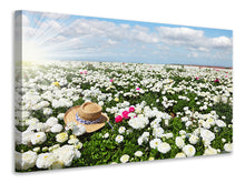 Laden Sie das Bild in den Galerie-Viewer, Leinwandbild Die Frühlingsblumenwiese